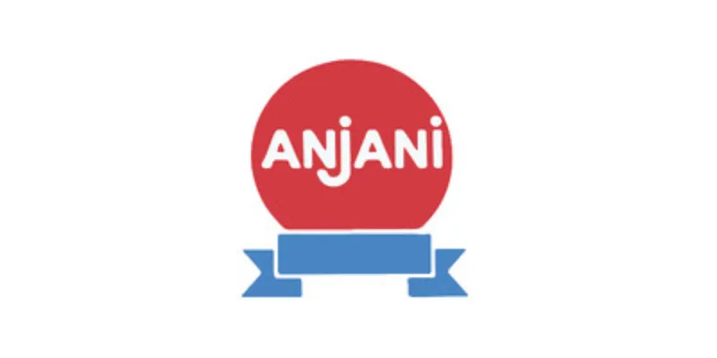 FINANCIAL ANALYSIS REPORT Anjani Synthetics Limited
